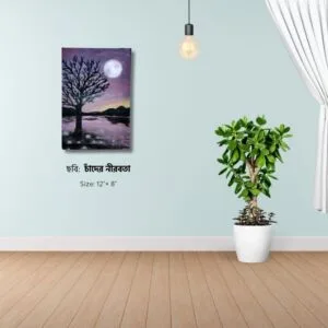 চাঁদের নীরবতা (The silence of the moon)