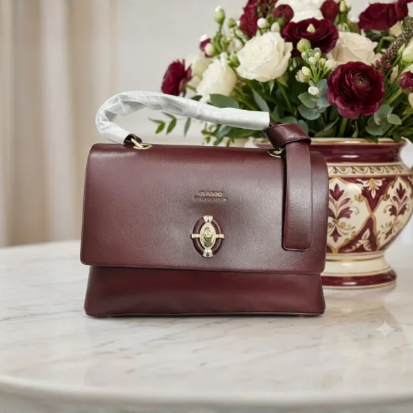Classic Brand Ladies Bag VLC738