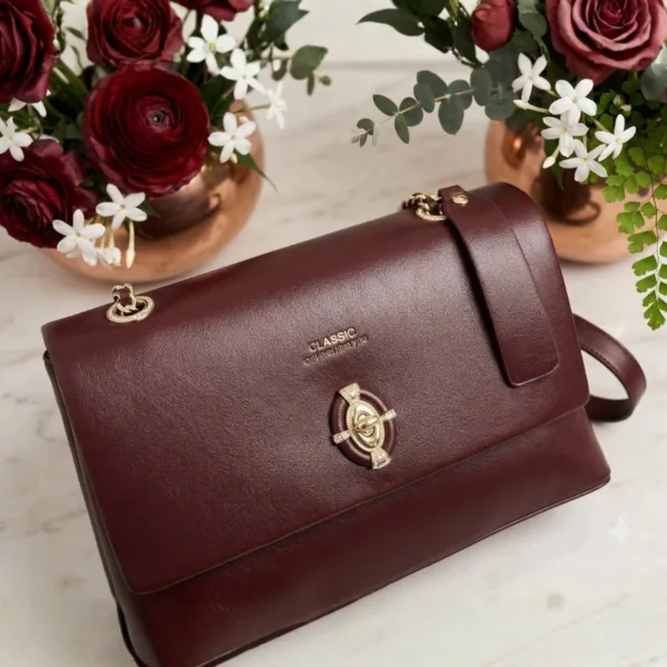 Classic Brand Ladies Bag VLC738 2
