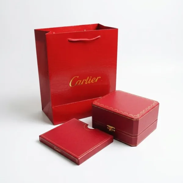 Cartier Santos Watch Black Dial 6